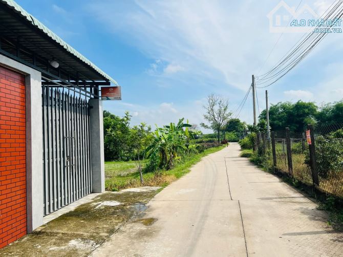 Lô đất rẻ đẹp không thể qua đường bê tông thuộc Mỹ Hạnh Nam - 1