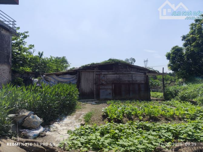 Bán đất Hoàng Long 2 mặt đường thông ô tô, tiện ích đầy đủ, cách Cienco5 1km - 1