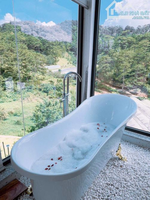 Bán căn homestay view rừng thông siêu đẹp🌲🌲- Hoàng Hoa Thám- P10 Đà Lạt - 1