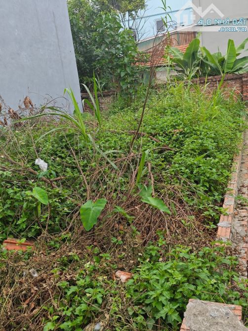 Bán đất Thanh Trì, 53m2, ngõ ô tô, cách 150 ra đường liên xã, giá 45 triệu / m - 1