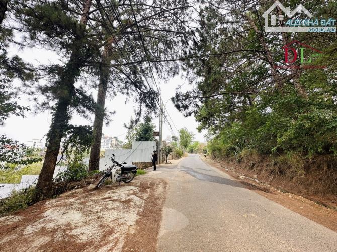 Bán lô đất mặt tiền Trịnh Hoài Đức Đà Lạt DT 1488m2 view thông và thung lũng đèn - 1