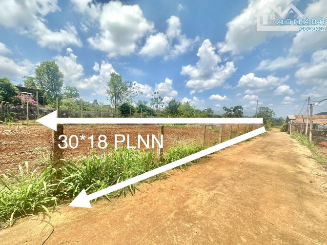 👉 Kẹt tiền chủ cần bán hơn 500m2 đất đẹp gần TL5- Thôn 2 xã Cư êbur- Tp Bmt- Daklak - 1