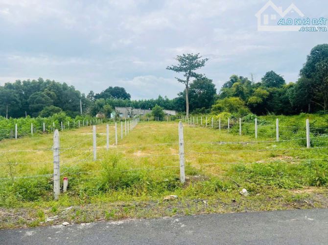 Gần biển Hồ Tràm, H. xuyên Mộc. Bà Rịa Vũng Tàu DT: 10x60, 100 Thổ Cư - Nắm Chủ-2,7 tỷ - 1