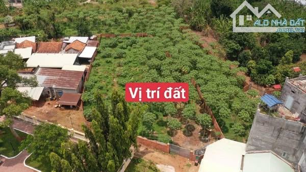 bán lô đất xào 1463m2 có 100 thổ cư - long phước - bà rịa - 1