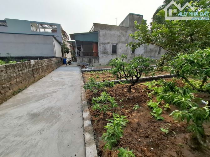 Bán đất Xâm Xuyên – Hồng Vân – Thường Tín – 63.3m², Ô Tô Vào Đất, Giá Chỉ 4x Triệu/m² - 1