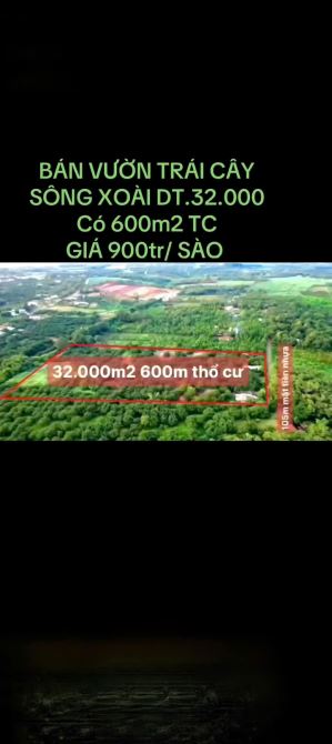 Bán 32.000M2 đất Sông Xoài, Phú Mỹ, BRVT, 600M2 thổ cư chỉ 28 tỷ - 1