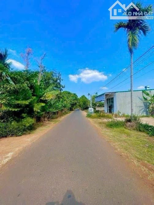 BÁN 2 LÔ ĐẤT ĐẸP HOÀ THẮNG, ĐƯỜNG NHỰA GẦN SÂN BAY, GẦN HỒ EA CHU CÁP - 1