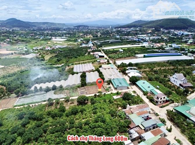 ✨ 2 NỀN THỔ CƯ LIỀN KỀ: Ngang 11M/ 11,7M ngay trung tâm Thị Trấn, View rừng thông - 1,4 TỶ - 1
