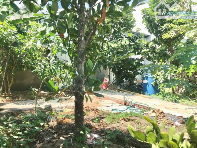 Cho thuê nhà có sân rộng máy lạnh gần chợ nổi Cái Răng 3,5 triệu - 15