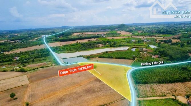 Bán 5,6 sào Xuân Phú view hồ mặt tiền đường ôm hết đất - 2