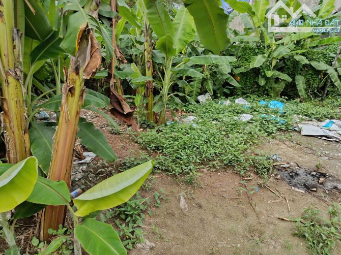 🏡 BÁN ĐẤT ĐỒNG TRÌ TỨ HIỆP THANH TRÌ – Ô TÔ ĐỖ CỬA, CƠ HỘI AN CƯ HIẾM CÓ - 40m2, 2.9 tỷ - 2
