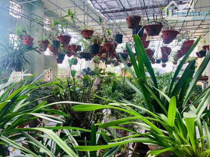🔥 Siêu Phẩm Mặt Tiền Cách Mạng Tháng 8 – Biệt Thự 3 Tầng, 250m², Giá Chỉ 15.9 Tỷ – Kinh D - 2