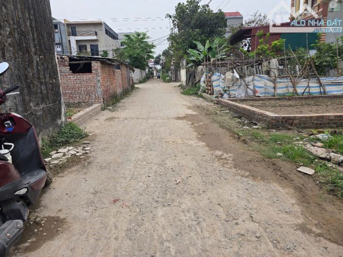 💥 CƠ HỘI VÀNG CHO NHÀ ĐẦU TƯ-ĐẤT ĐẸP 60m2 TRỤC CHÍNH ĐÌNH TRUNG, XUÂN NỘN, ĐÔNG ANH - 2