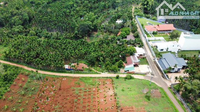 Bán HomeStay thôn 3 Ea Tiêu trên đất có nguồn thu - 2