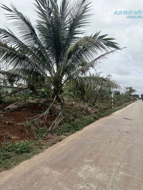 B.ÁN ĐẤT 25B ĐẠT LÝ -BMT: (7m x 25m, Thổ cư 100m2) = 1 tỷ 150 triệu - 2