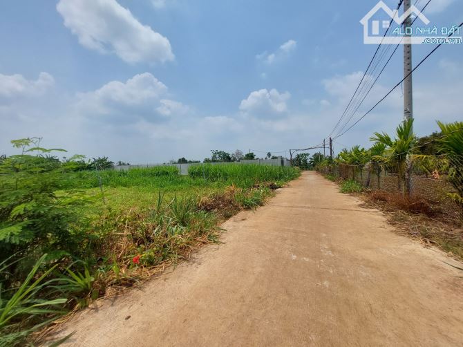 Đất Đoàn Kết, Hòa Khánh, TP. Buôn Ma Thuột - 2
