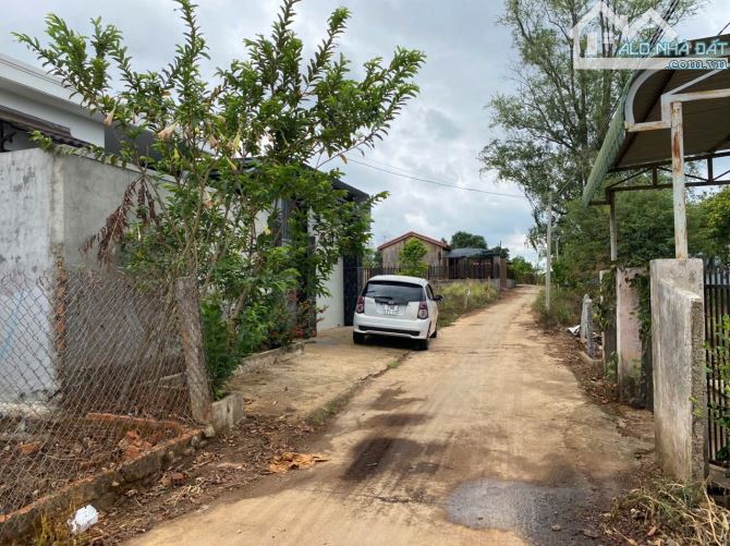 Bán đất tặng nhà hẻm cấp 1 tĩnh lộ 1 tân hoà buôn đôn - 2