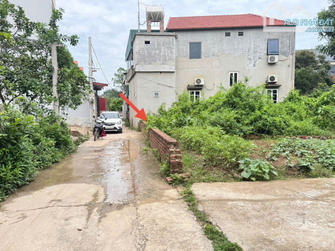 Bán đất Phú Hữu, Thanh Lâm, Mê Linh. Gần đường quốc lộ 23b và đồi 79 mùa xuân - 2