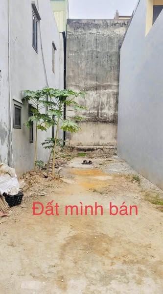 Hạ Thái, Duyên Thái, Thường Tín (Giáp trường Cấp 3 Đông Mỹ) DT: 55m, giá 3.95 tỷ - 2