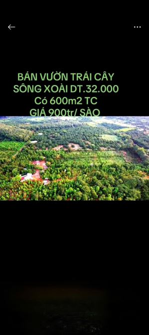 Bán 32.000M2 đất Sông Xoài, Phú Mỹ, BRVT, 600M2 thổ cư chỉ 28 tỷ - 2