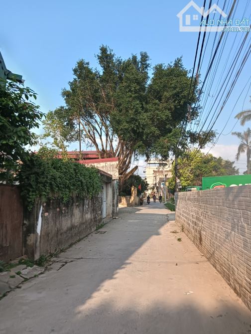 Hàng hiếm giá rẻ gần quốc lộ 1A 👉 thắng lợi -thường tín - 2