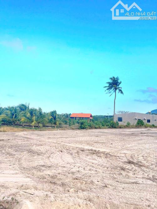 BÁN DÀN FO 8 LÔ TT PHƯỚC HẢI - DIỆN TÍCH 10X70M VIEW NÚI MINH ĐẠM GIÁ CHỈ 2,5 TỶ TL - 2