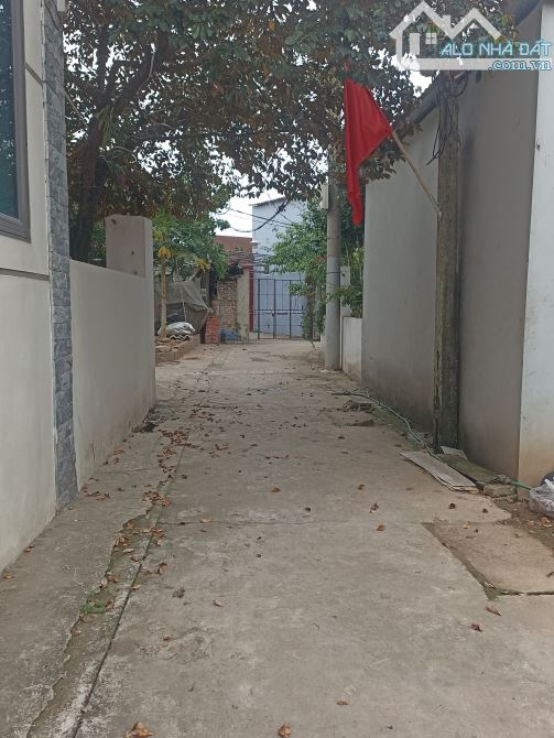 Em Mình Cần Bán 60m Đất Đại Mạch Đông Anh Sát Vách KCN Bắc Thong Long Nhỉnh 3 Tỷ - 2
