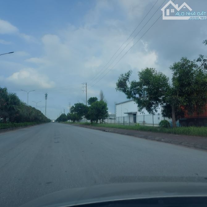 Bán đất dt 75 x 160 = 1,2ha kcn Đồng văn thời hạn 2056 giá 95$ . - 1