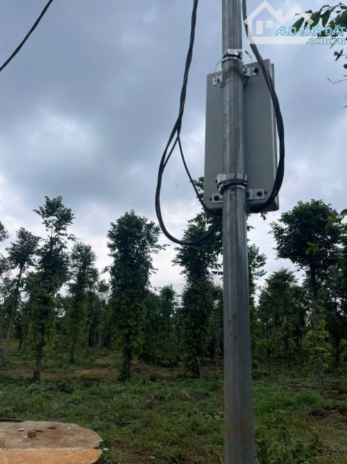 ❌❌KHÔNG CHÊ ĐƯỢC - Bán vườn Cư Mgar 9570m2 có 200m đường nhựa chỉ 4 tỷ 850 (cà phê, tiêu) - 2