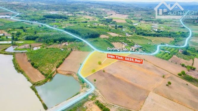 Bán 5,6 sào Xuân Phú view hồ mặt tiền đường ôm hết đất - 3