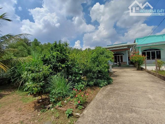Ngộp bán gấp đất nhà vườn thổ cư Nhơn Trạch giá rẻ 3TY/531M, đường oto, SR chính chủ.GỌI - 3