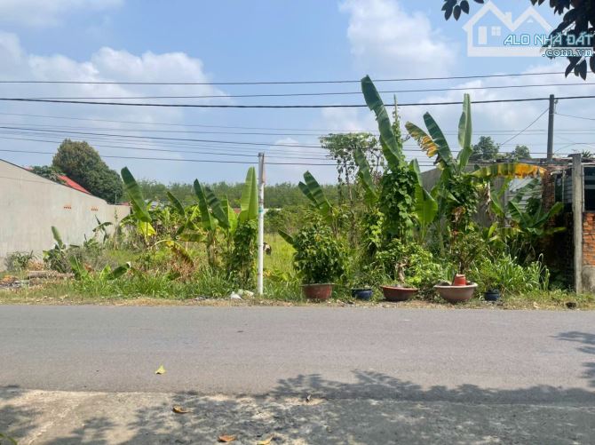MT đường nhựa xã Phú Hòa Đông 1480m2 QH khu dân cư giá 6 tỷ - 3