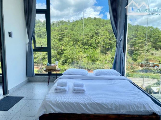 Bán căn homestay view rừng thông siêu đẹp🌲🌲- Hoàng Hoa Thám- P10 Đà Lạt - 3