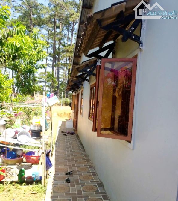 Bán lô đất và căn nhà Khe Sanh - Phường 10- Đà Lạt 🔥16 Tỷ 5 - 3
