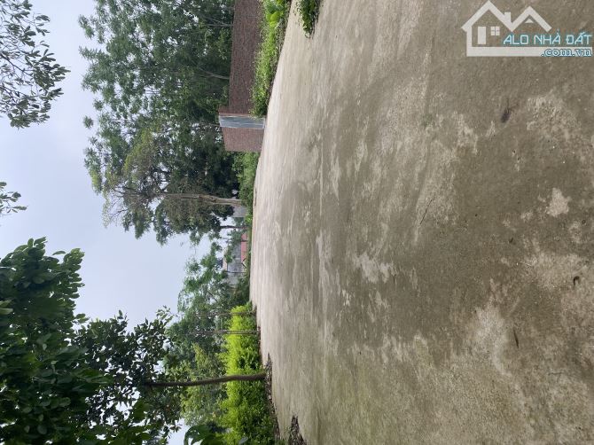 Bán 200m2 tại Phú Cát, Quốc Oai, Hà Nội tặng thêm vườn hoa trước cửa - 3