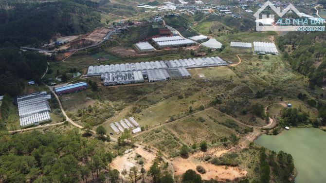 Bán dự án 60 hecta khu vực Da Sa , Đà Lạt - 3