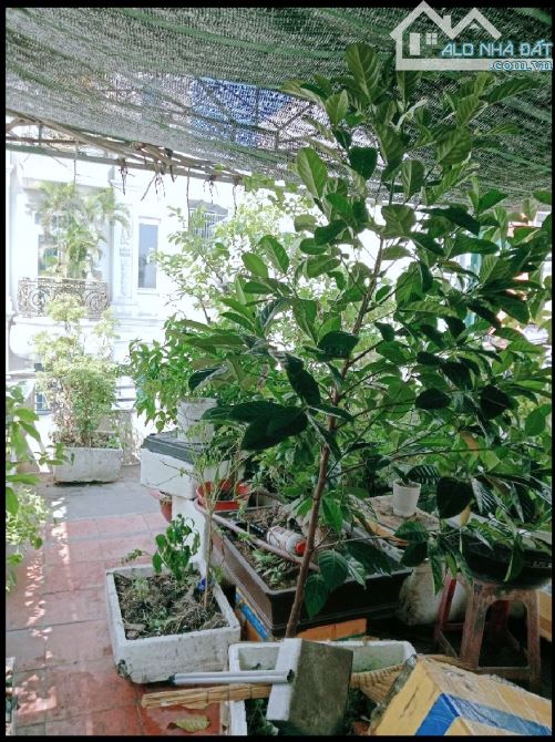 BÁN GẤP NHÀ MẶT TIỀN CỰC ĐẸP 64M2 ĐƯỜNG ĐỖ NHUẬN, NGAY CHỢ SƠN KỲ, TÂN PHÚ. - 3