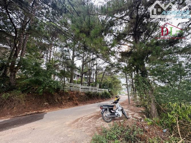 Bán lô đất mặt tiền Trịnh Hoài Đức Đà Lạt DT 1488m2 view thông và thung lũng đèn - 3
