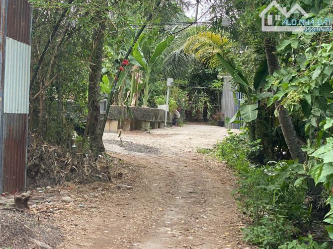 CHÍNH CHỦ CẦN TIỀN BÁN GẤP ĐẤT Ở TẠI ĐÔ THỊ, GẦN SÔNG, SỞ HỮU LÂU DÀI, ĐÃ CÓ SỔ - 3