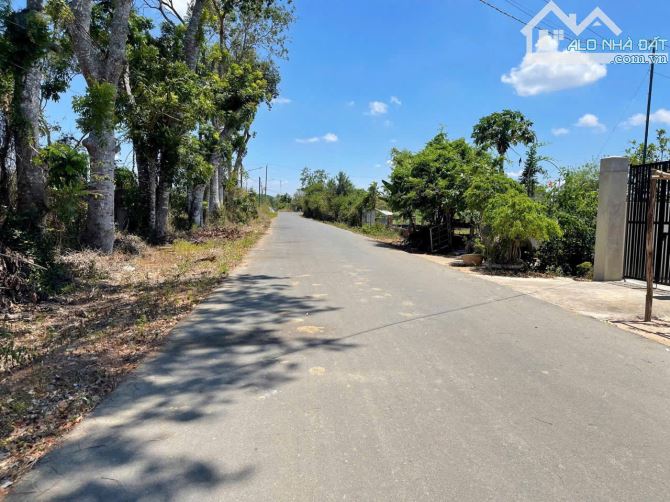 ☘️ BÁN ĐẤT ĐƯỜNG 14A, LONG PHƯỚC – TP. BÀ RỊA Vị trí đẹp – Giá tốt – Sổ riêng chính chủ - 3