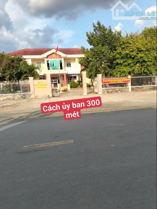 5×42 thổ mặt tiền nhựa cao thị mai ngay trường học Bình trinh_Tân trụ 1ty399 triệu rẻ nát - 3