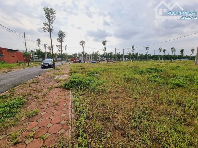 Đất Đấu giá Tam Đồng, 112.5m2, mt5m, 7.35 tỷ, Mê Linh. - 3