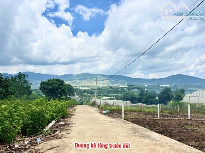 ✨ 2 NỀN THỔ CƯ LIỀN KỀ: Ngang 11M/ 11,7M ngay trung tâm Thị Trấn, View rừng thông - 1,4 TỶ - 3