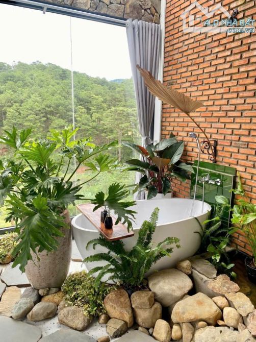 Bán căn homestay view rừng thông siêu đẹp🌲🌲- Hoàng Hoa Thám- P10 Đà Lạt - 4