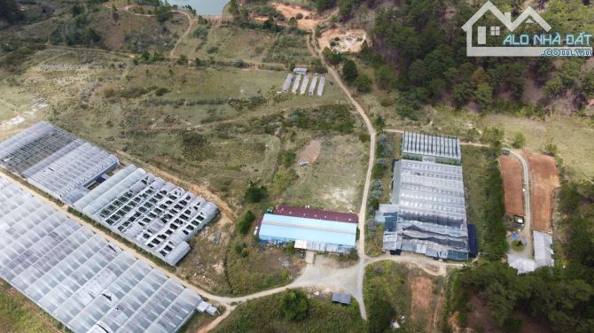 Bán dự án 60 hecta khu vực Da Sa , Đà Lạt - 4