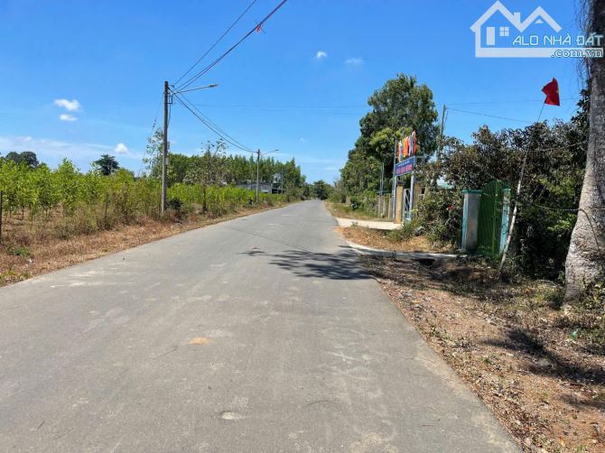 ☘️ BÁN ĐẤT ĐƯỜNG 14A, LONG PHƯỚC – TP. BÀ RỊA Vị trí đẹp – Giá tốt – Sổ riêng chính chủ - 4