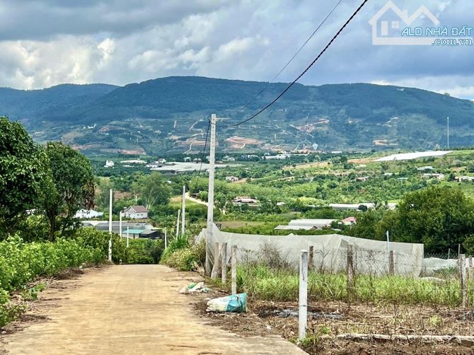 ✨ 2 NỀN THỔ CƯ LIỀN KỀ: Ngang 11M/ 11,7M ngay trung tâm Thị Trấn, View rừng thông - 1,4 TỶ - 4