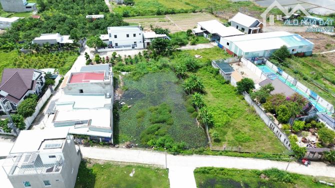 Đất sào biệt thự phường Long Tâm, TP Bà Rịa. Diện tích 1000m2 giá 7 tỷ VNĐ - 5