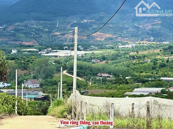 ✨ 2 NỀN THỔ CƯ LIỀN KỀ: Ngang 11M/ 11,7M ngay trung tâm Thị Trấn, View rừng thông - 1,4 TỶ - 5