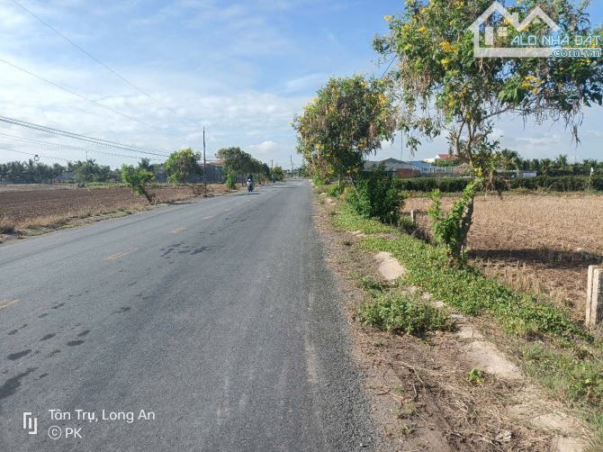 5×42 thổ mặt tiền nhựa cao thị mai ngay trường học Bình trinh_Tân trụ 1ty399 triệu rẻ nát - 6